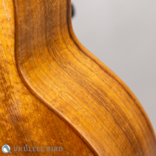 G String T4 Double Hole