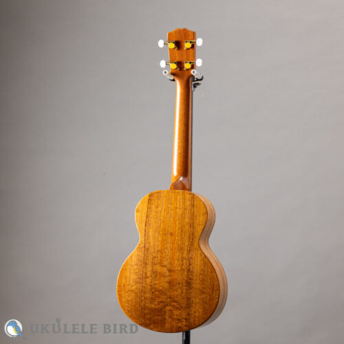 G String T4 Double Hole