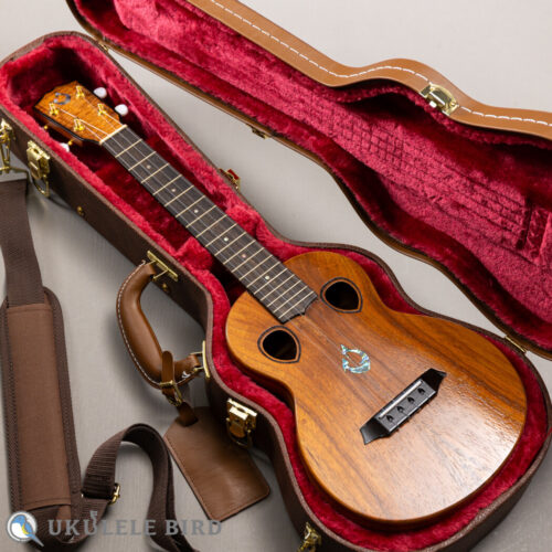G String T4 Double Hole