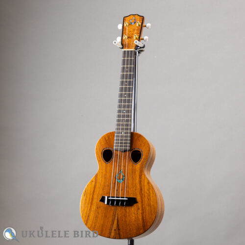 G String T4 Double Hole
