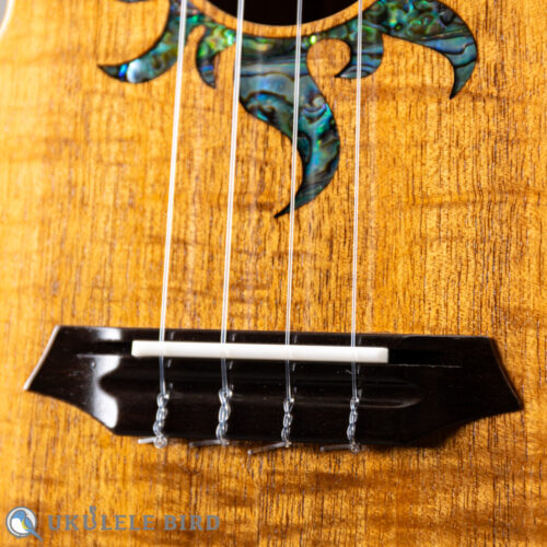G String T4 Sun Thin Body w/PU