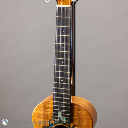G String T4 Sun Thin Body w/PU