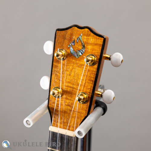 G String T4 Sun Thin Body w/PU