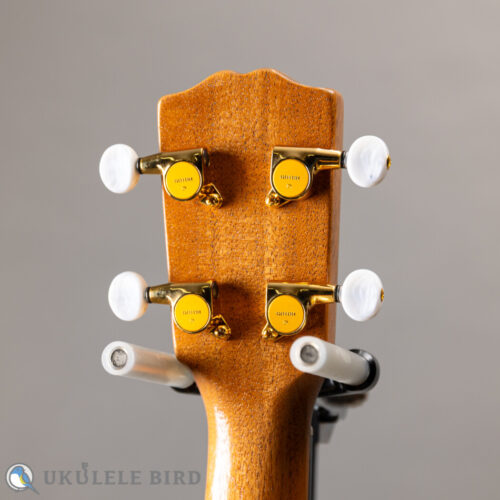 G String T4 Sun Thin Body w/PU