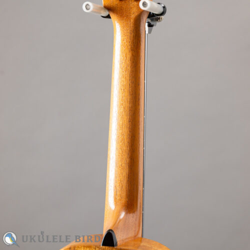 G String T4 Sun Thin Body w/PU