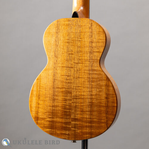G String T4 Sun Thin Body w/PU