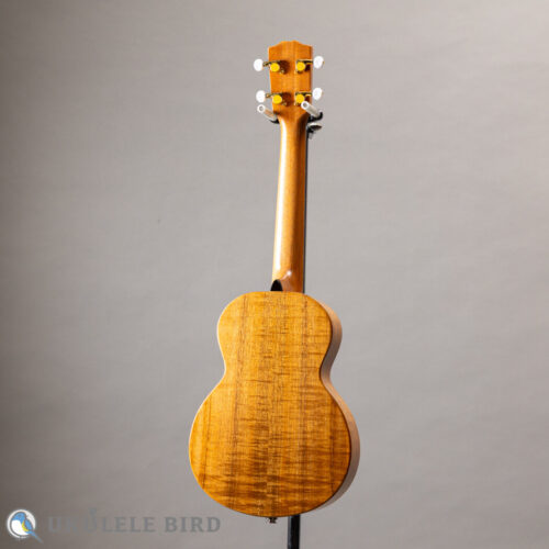 G String T4 Sun Thin Body w/PU