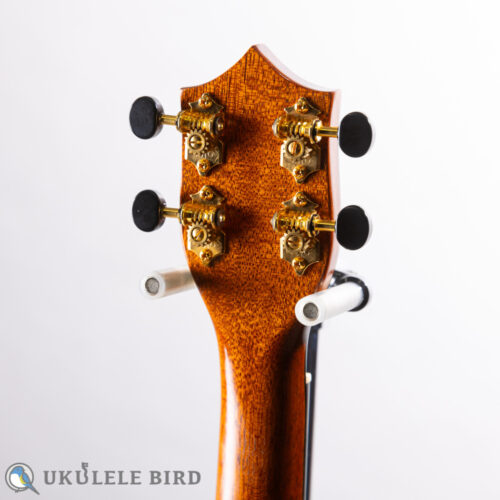 I'iwi Tenor Premium Series 3 Puka (Koa & Bubinga)