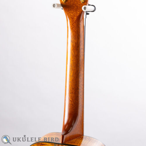 I'iwi Tenor Premium Series 3 Puka (Koa & Bubinga)